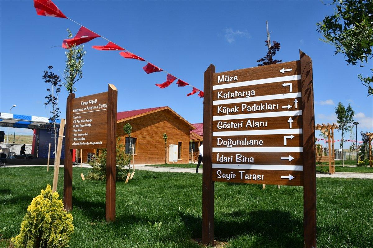 Varank'ın can dostu Anadolu Aslanı'na teknolojik tesis