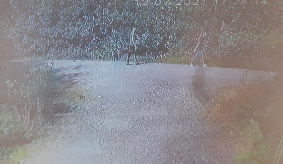 Kocaeli'de genç kıza istismara kalkışan sapık tutuklandı