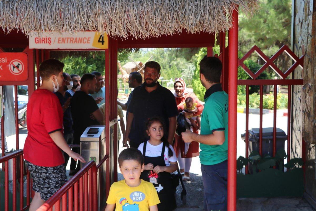 Gaziantep'te kafesini parçalayan aslan bakıcıyı yaraladı