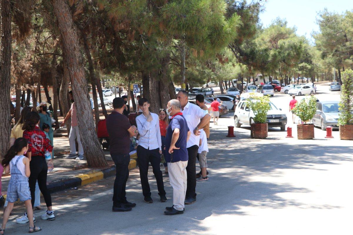Gaziantep'te kafesini parçalayan aslan bakıcıyı yaraladı