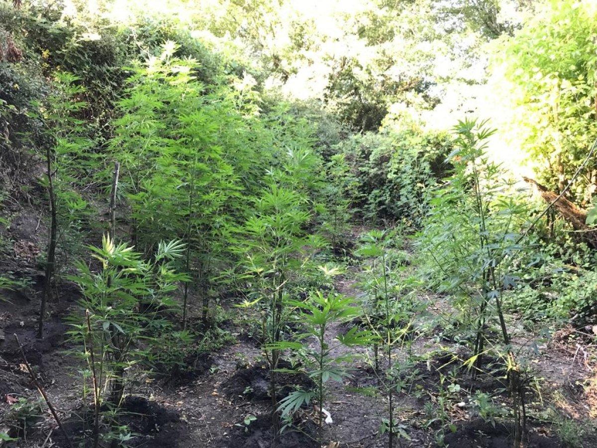 Tekirdağ’da uyuşturucu tacirinin evinden 90 sikke çıktı