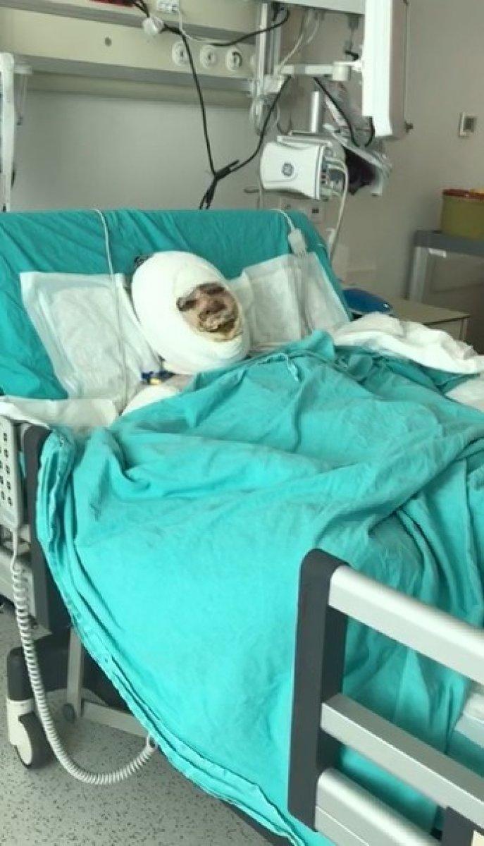 Mersin'de eski damadı tarafından benzinle yakıldı