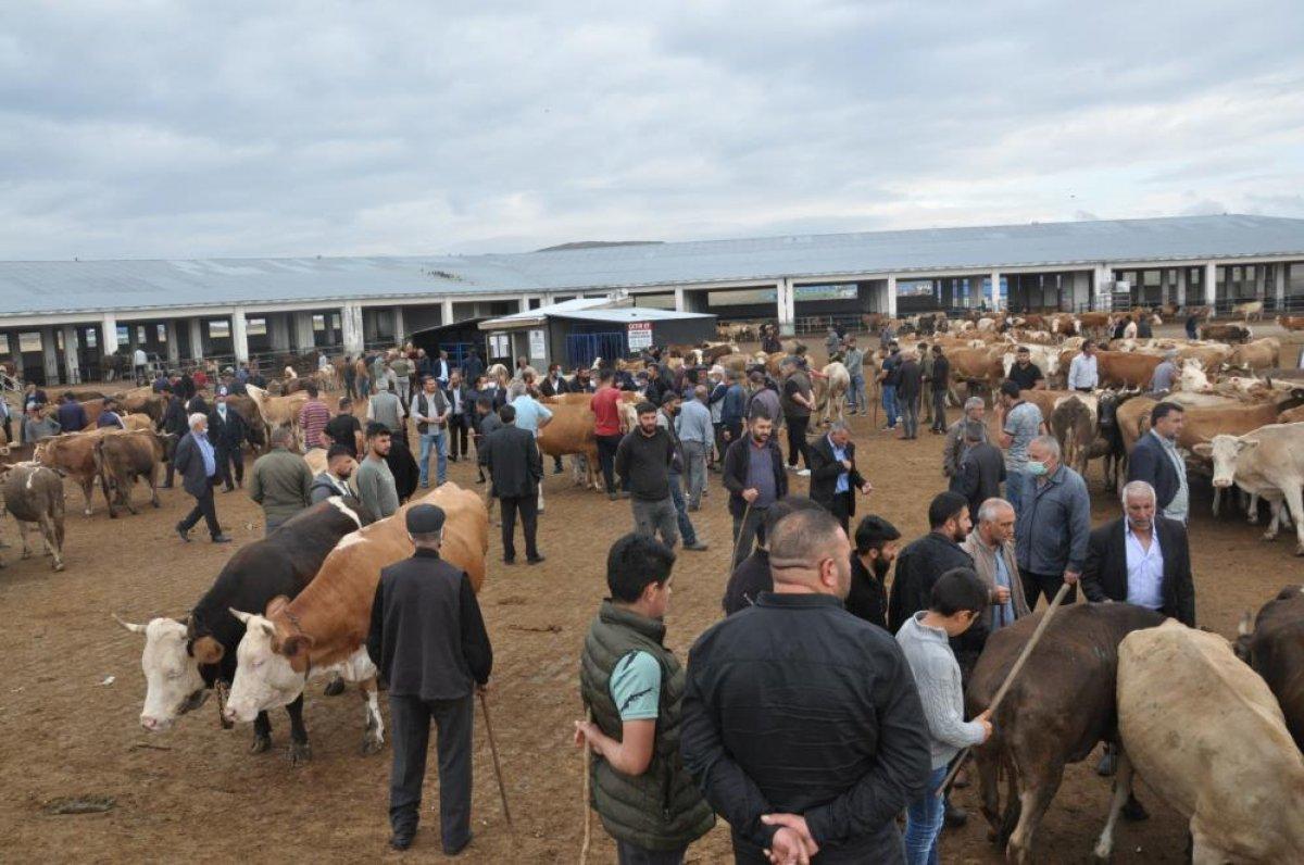 Kars'ta kurbanlıklar satıcıların elinde kaldı
