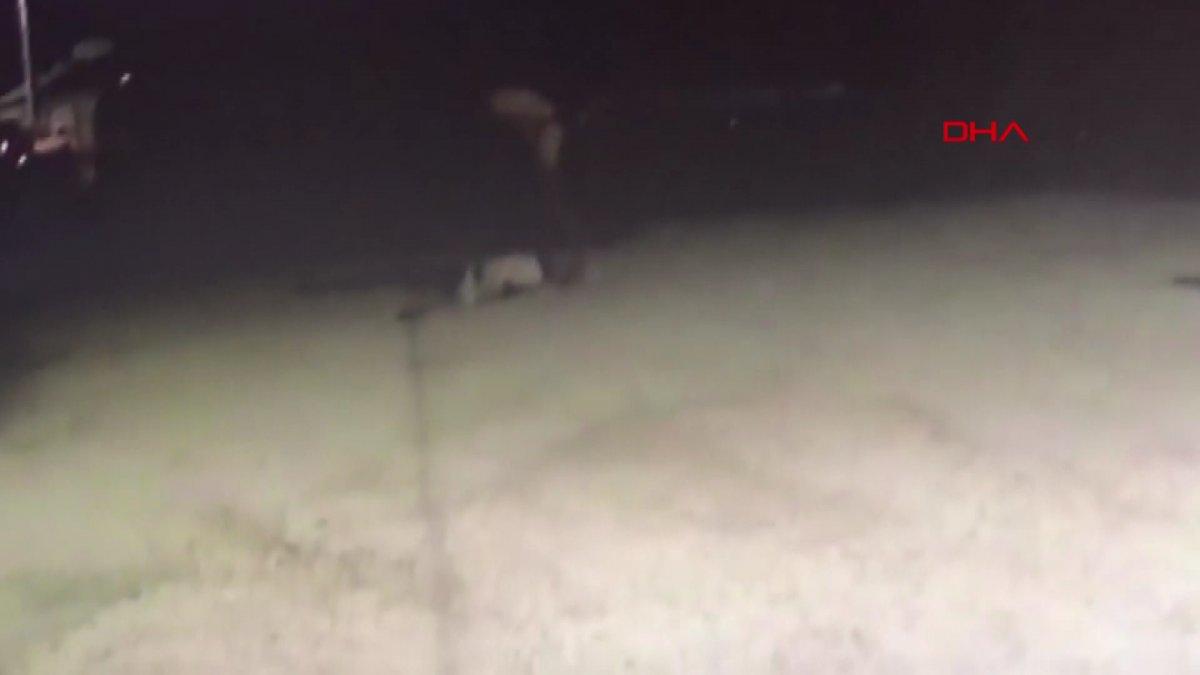 Edirne'de köpeğe işkence anları kameraya yansıdı