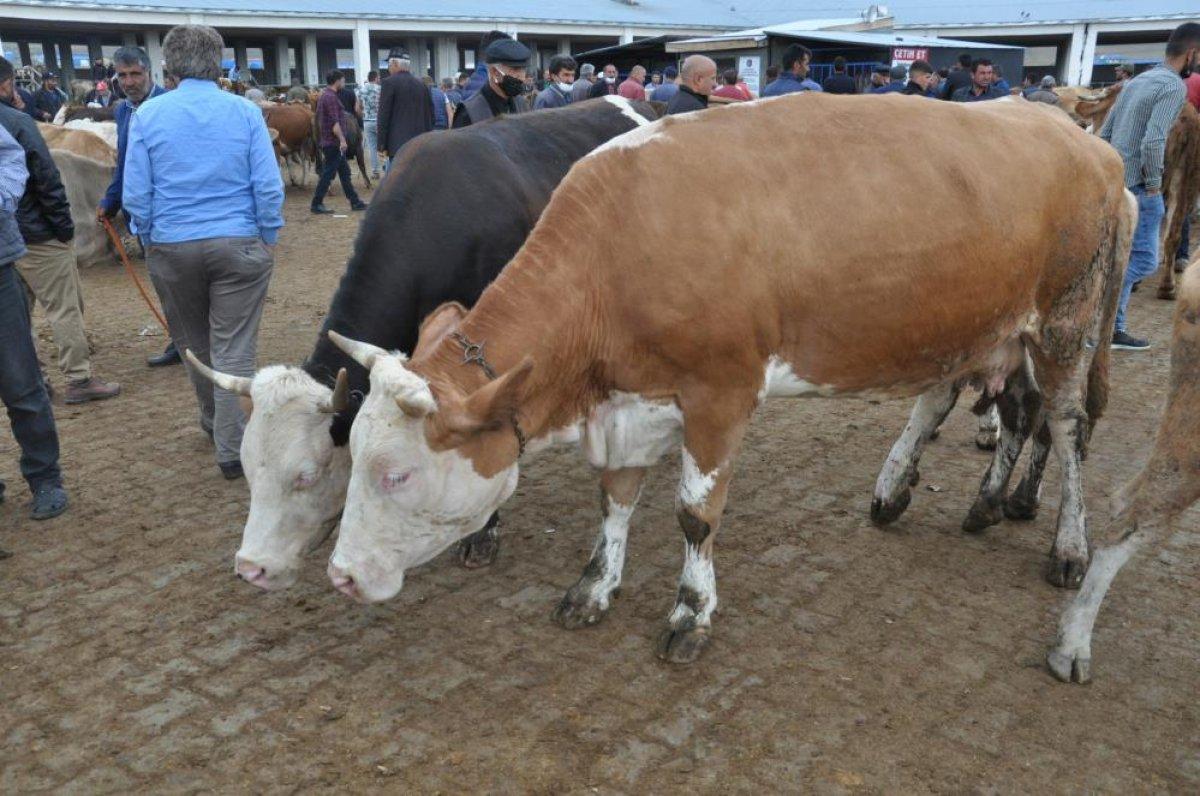 Kars'ta kurbanlıklar satıcıların elinde kaldı