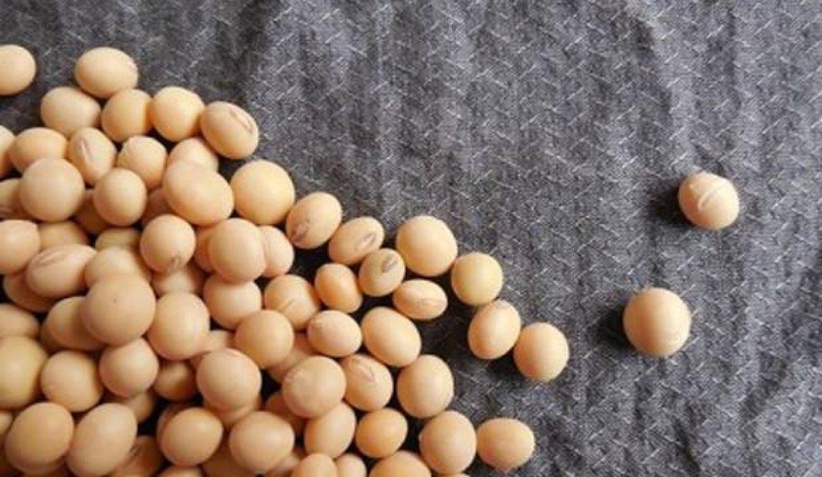 Cildi genç tutan 13 yaşlanma karşıtı besin