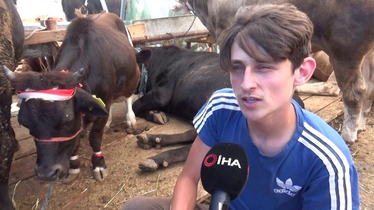 Türkiye'nin en küçük kurbanlığı İstanbul'da