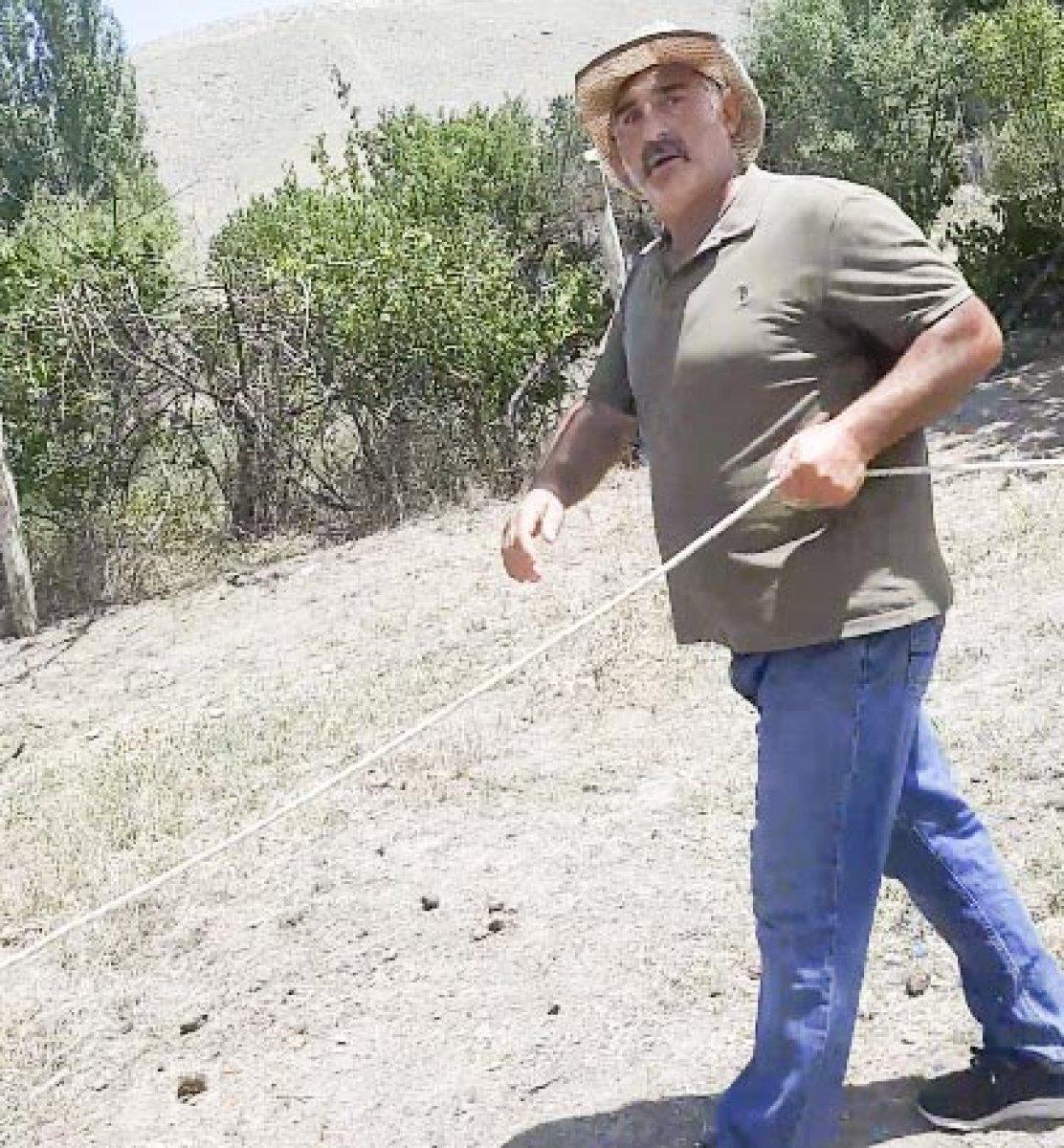 Ankara’da sahipsiz atları uygunsuz şartlarda alıkoyan şahsa ceza