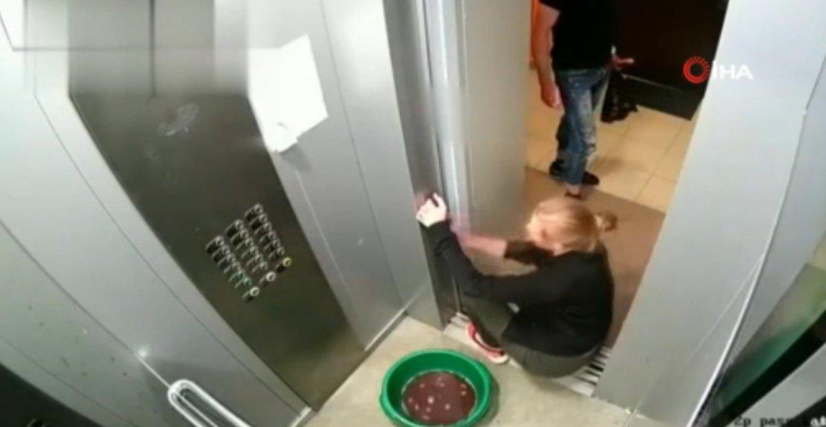 Rusya’da çiftin asansördeki kanlı kavgası kamerada