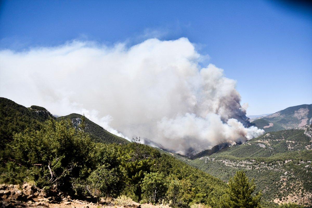 Mersin'deki orman yangınıyla ilgili 4 şüpheli gözaltına alındı