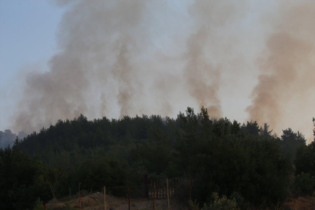 Mersin ve Hatay'daki orman yangınları kontrol altına alındı