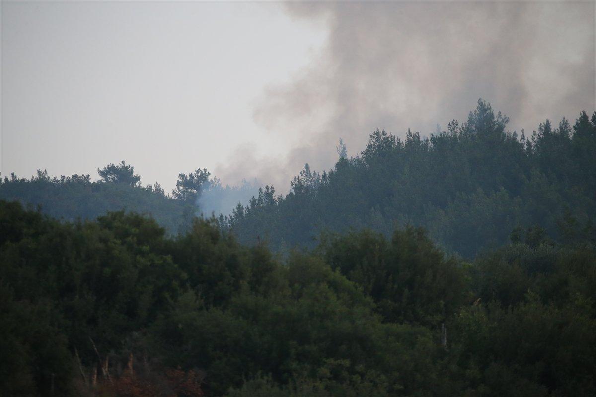Mersin ve Hatay'daki orman yangınları kontrol altına alındı
