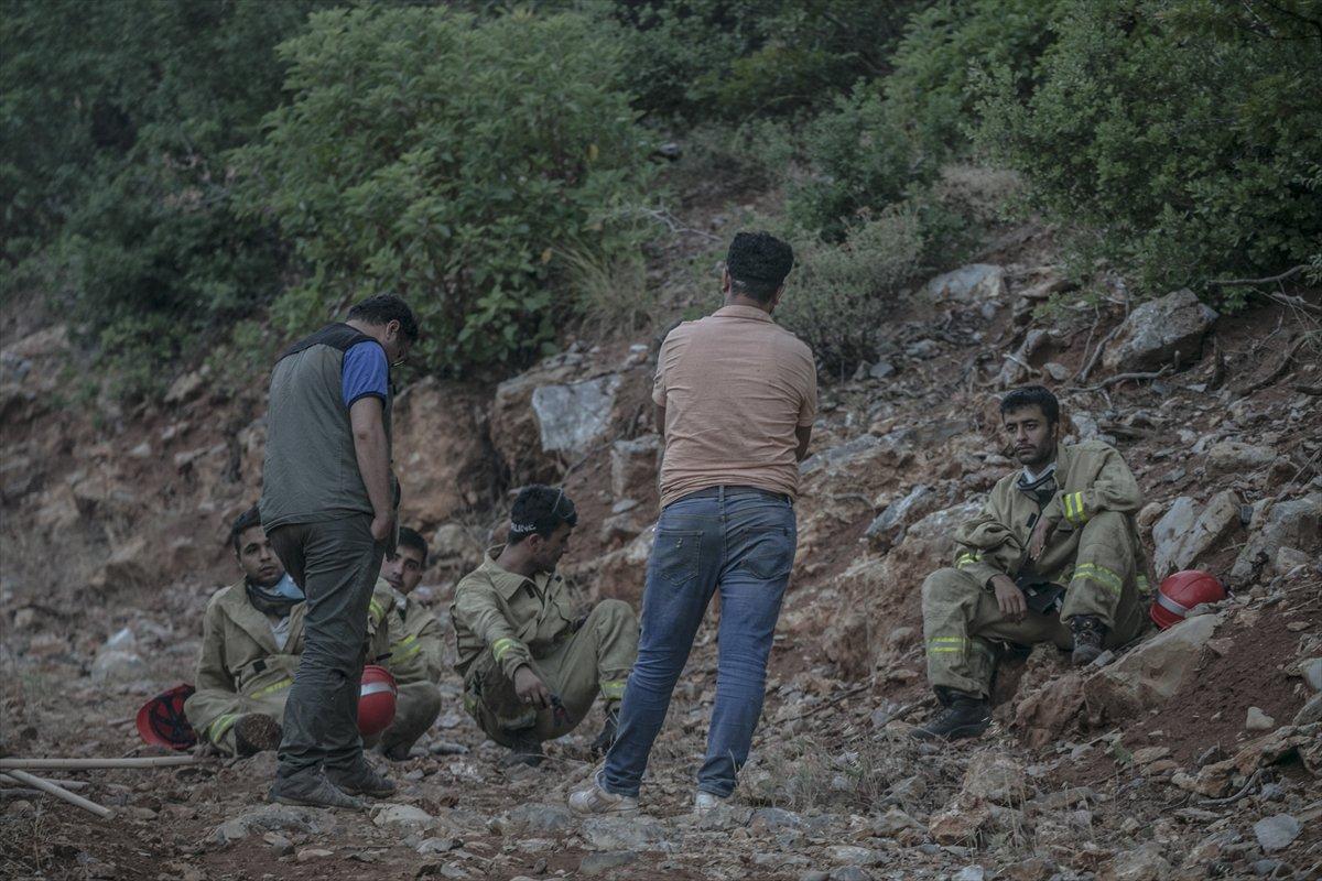 Mersin ve Hatay'daki orman yangınları kontrol altına alındı
