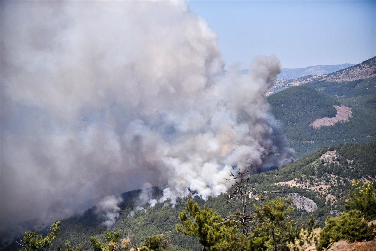 Mersin'deki orman yangınıyla ilgili 4 şüpheli gözaltına alındı