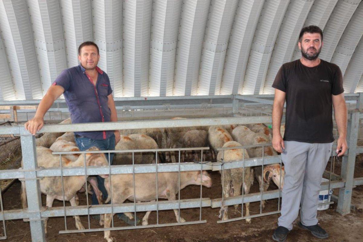 Balıkesir'de sıcak hava kurban pazarlarını etkiledi