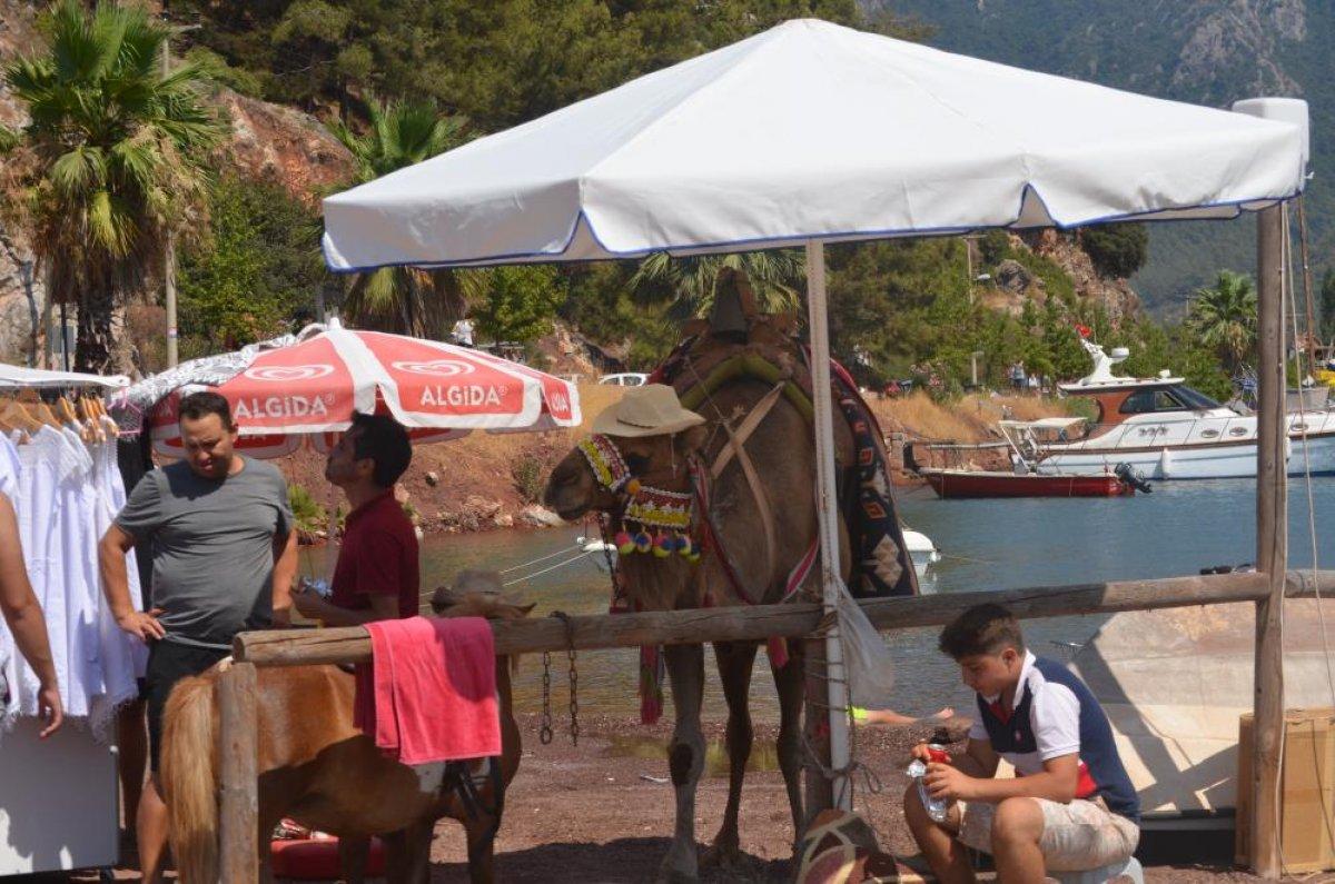 Kızkumu yerli ve yabancı turistlerin akınına uğradı