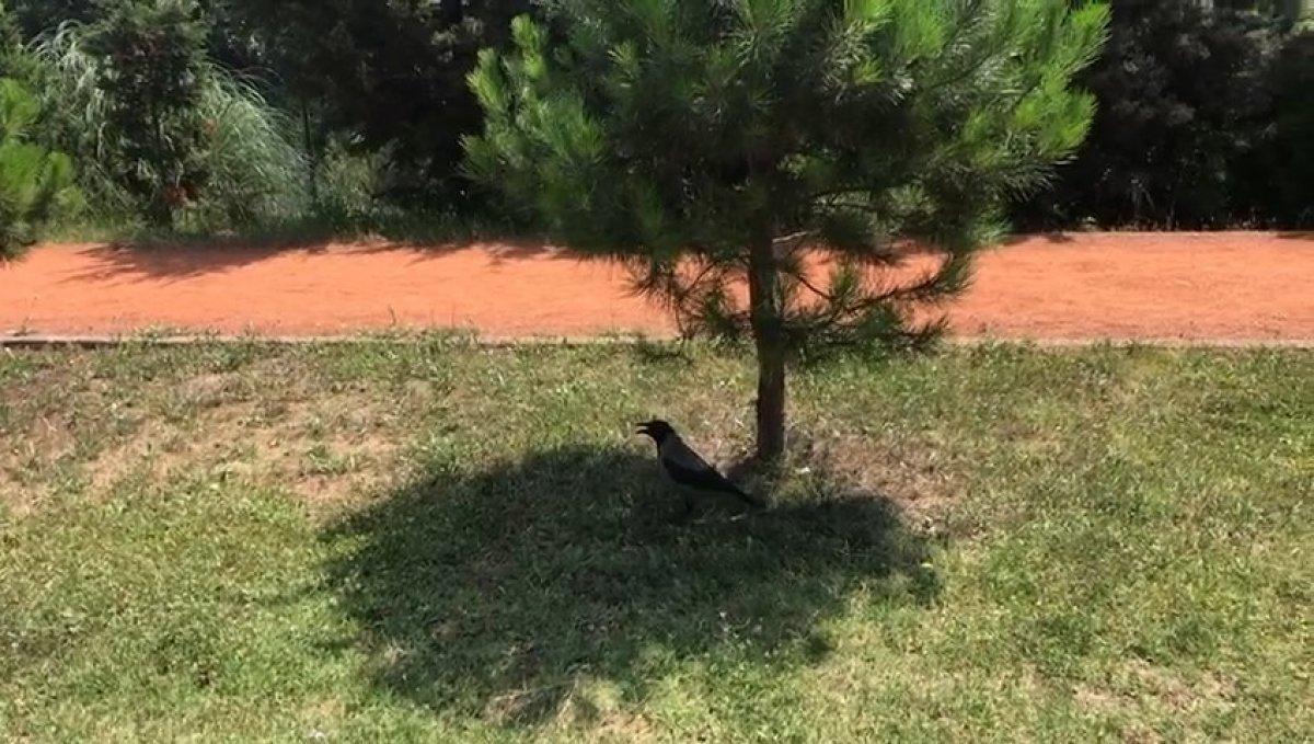 İstanbul’da hissedilen sıcaklık 42 dereceyi buldu