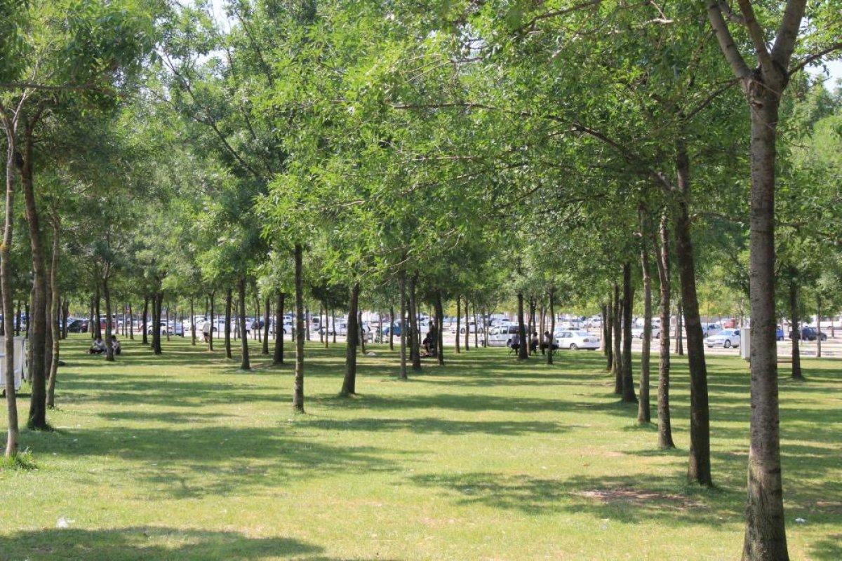 Kocaeli'de termometreler 35 dereceyi gösterdi