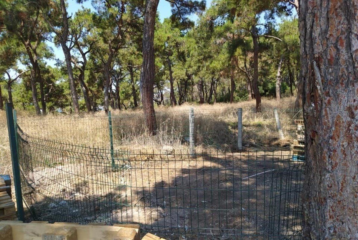 Adalar’da kurban kesim alanı sorunu vatandaşları mağdur etti