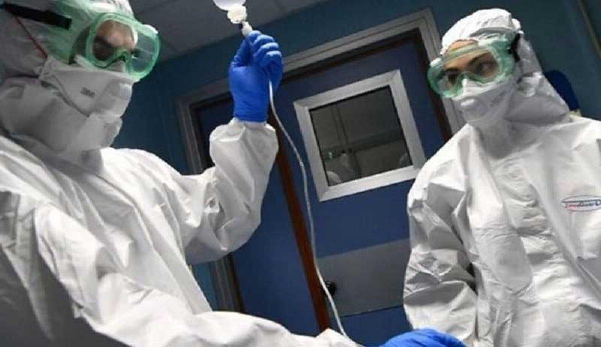 İlk ölüm gerçekleşti! Monkey B virüsü nedir, belirtileri nelerdir? Monkey B virüsü (BV) Türkiye'de görüldü mü?