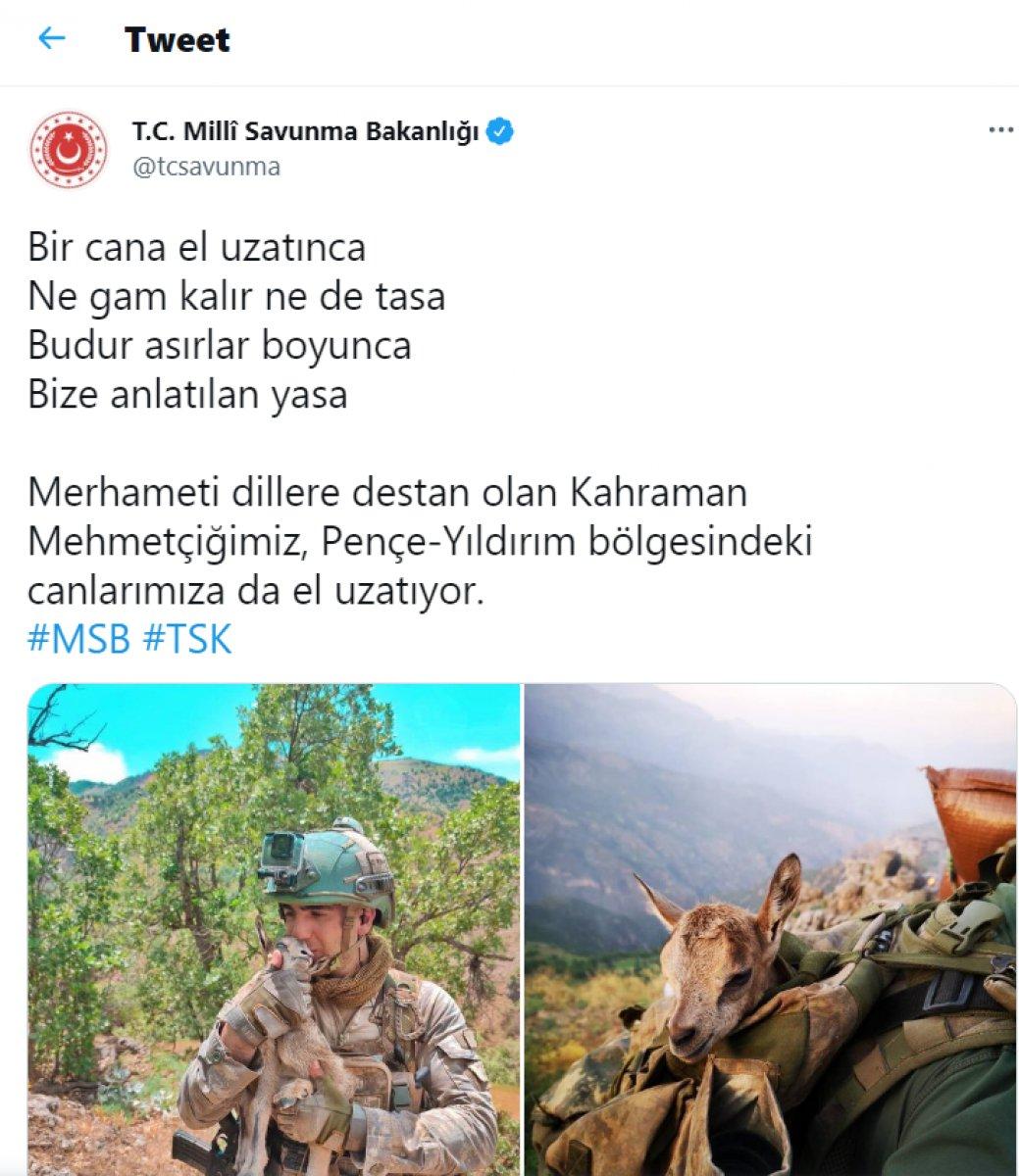 Mehmetçik, görev yaptığı bölgedeki hayvanları unutmadı