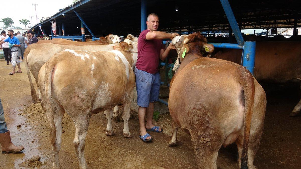 Bursa'da kurban pazarlığı yaparken kolu çatladı