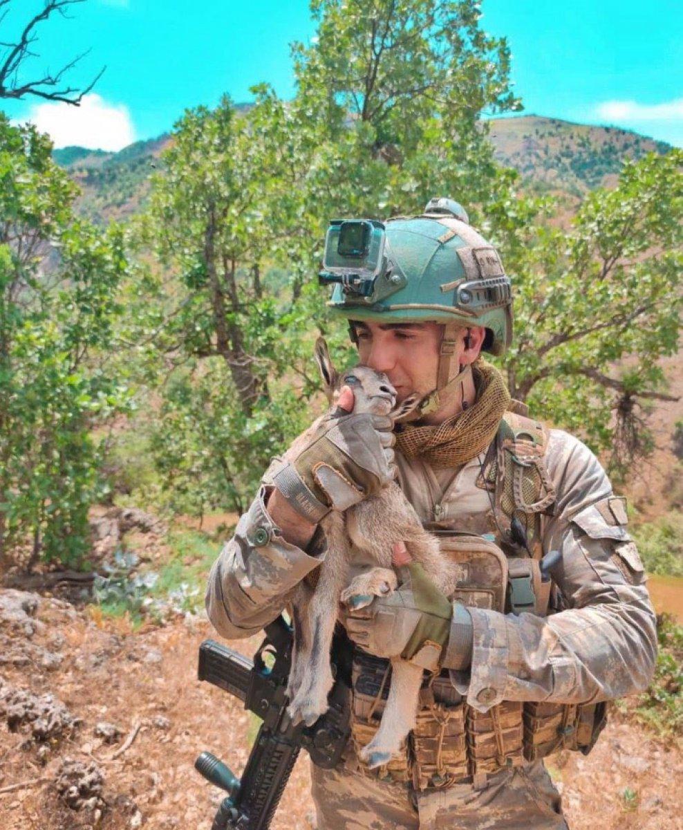 Mehmetçik, görev yaptığı bölgedeki hayvanları unutmadı