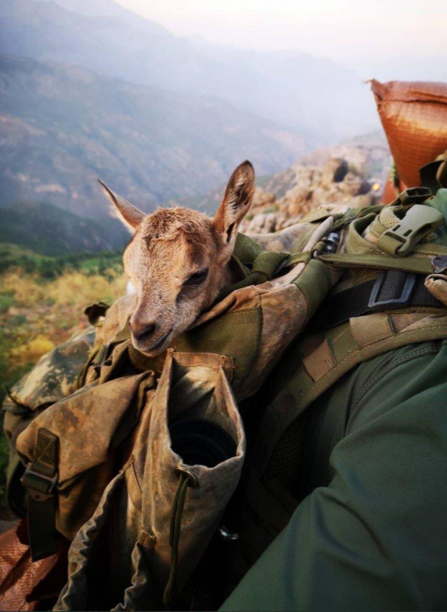 Mehmetçik, görev yaptığı bölgedeki hayvanları unutmadı