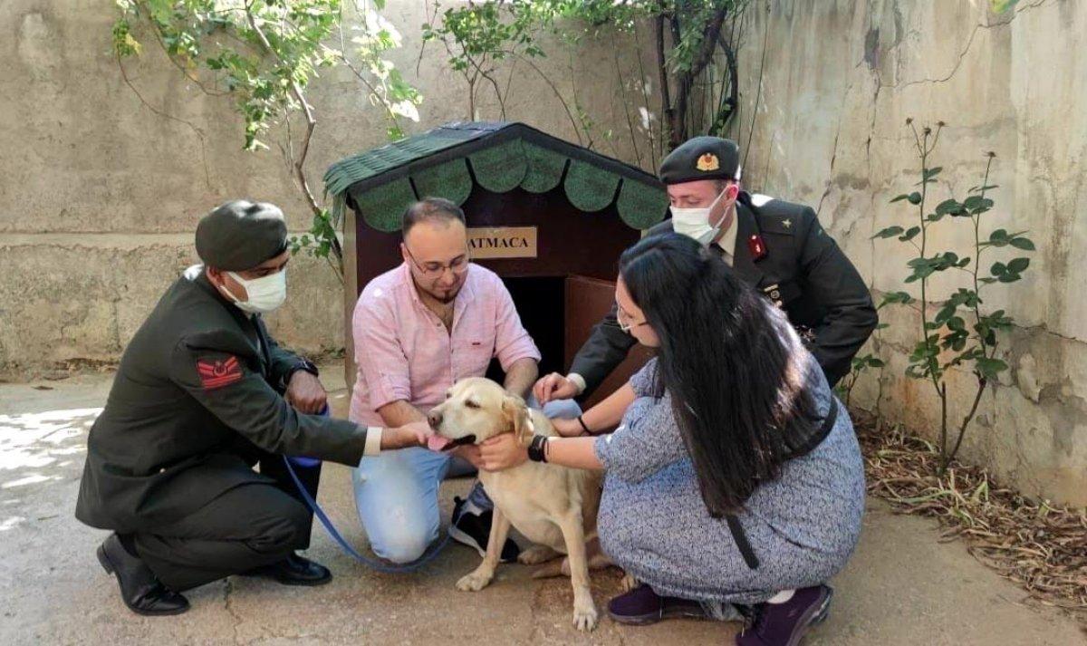 Şehit onbaşının köpeği ailesine sahiplendirildi