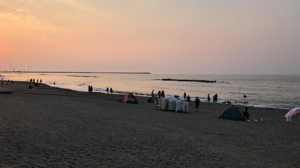 Sakarya'daki kaşıntıların nedeni, deniz anası çıktı