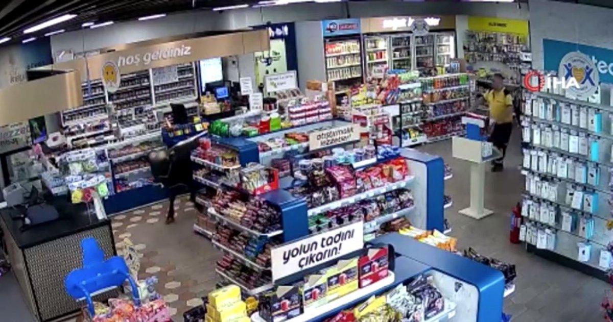 İstanbul'da sahibinden kaçan dana markete daldı