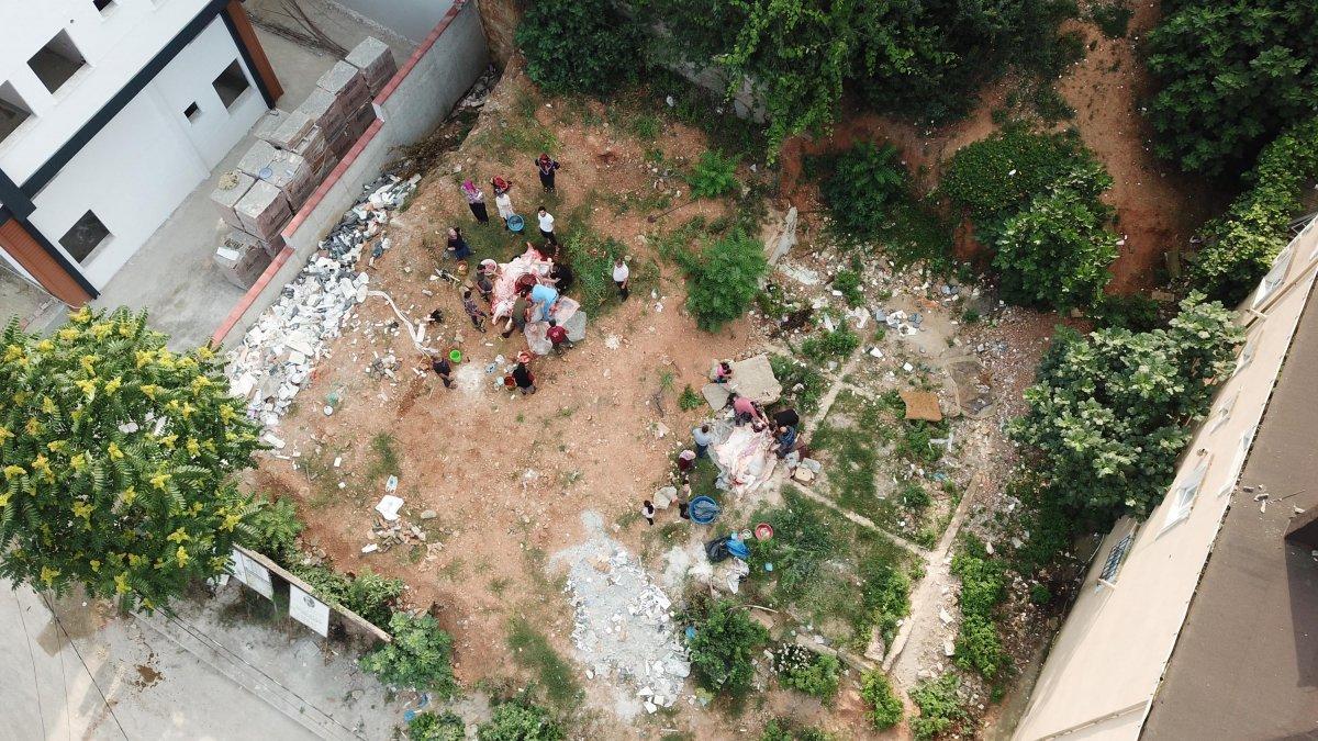 Beyoğlu ve Sultanbeyli'de kaçak kesim yapıldı