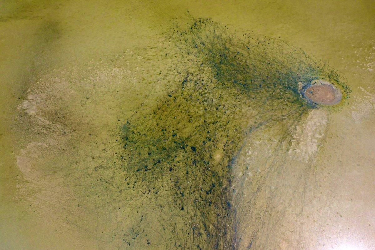 Kuruyan Düden Gölü'nün can damarları göründü