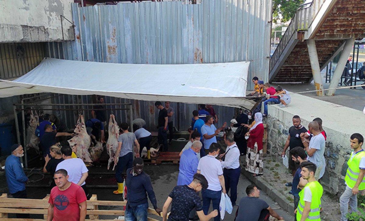 Beyoğlu ve Sultanbeyli'de kaçak kesim yapıldı