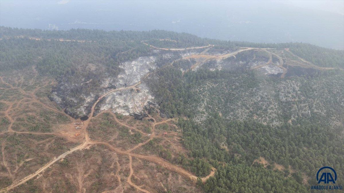 Bilecik'te ormanlık alandaki yangın yeniden alevlendi