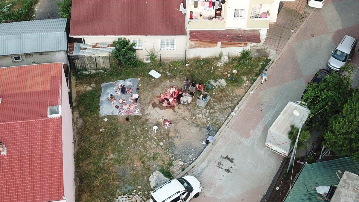 Beyoğlu ve Sultanbeyli'de kaçak kesim yapıldı