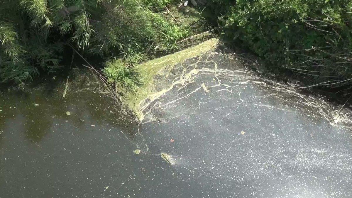 Balıkesir Gönen Çayı'nın rengi değişti