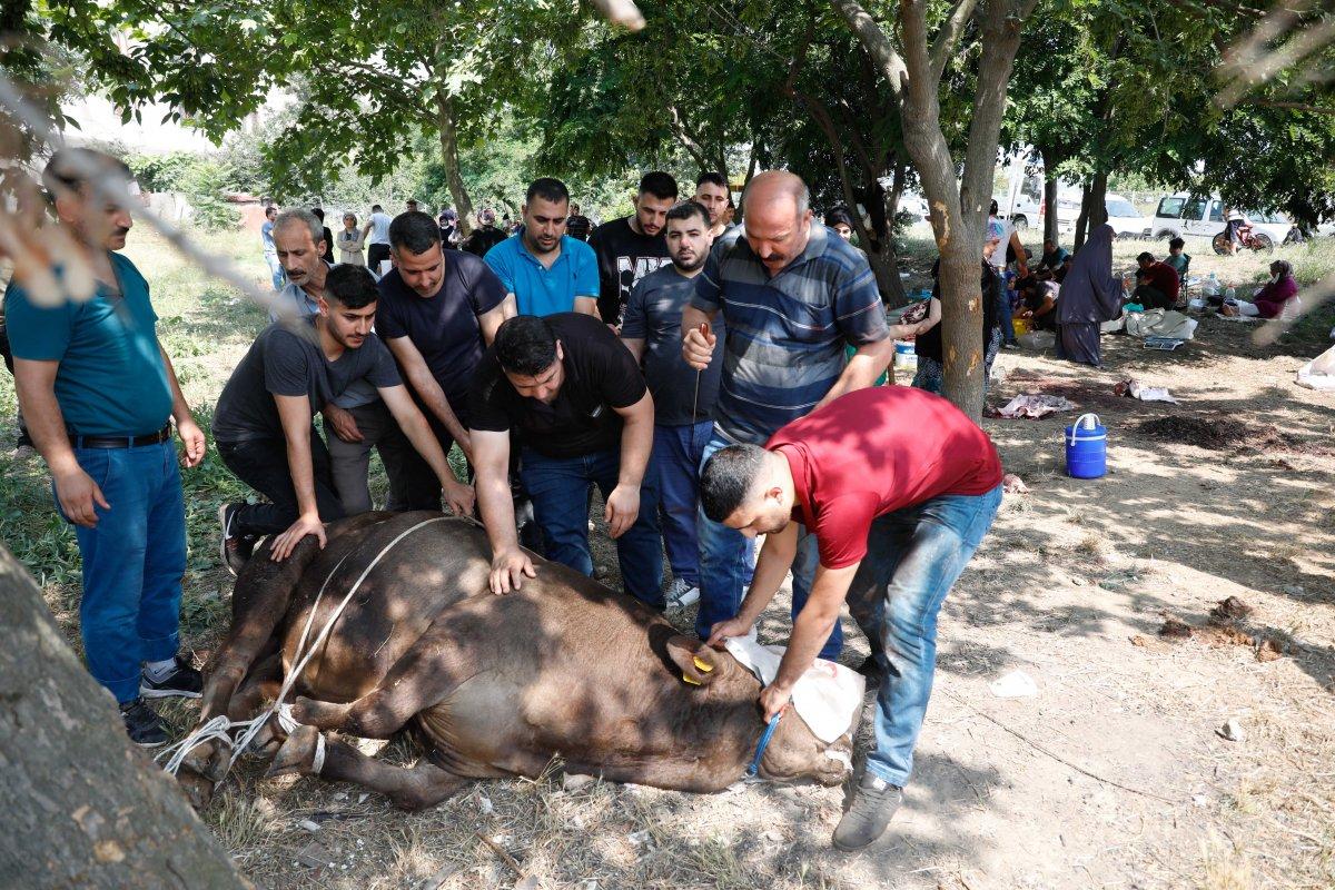 İstanbul'da uyarı afişinin altında kurban kestiler