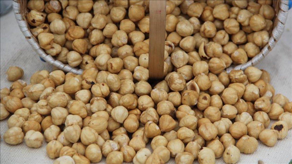 Fındıkta üreticinin taban fiyat beklentisi en az 30 lira