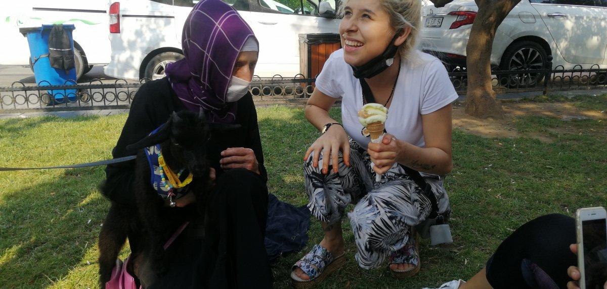 İstanbul'da sahiplendiği cüce keçiye bebek bezi giydirip gezdiriyor