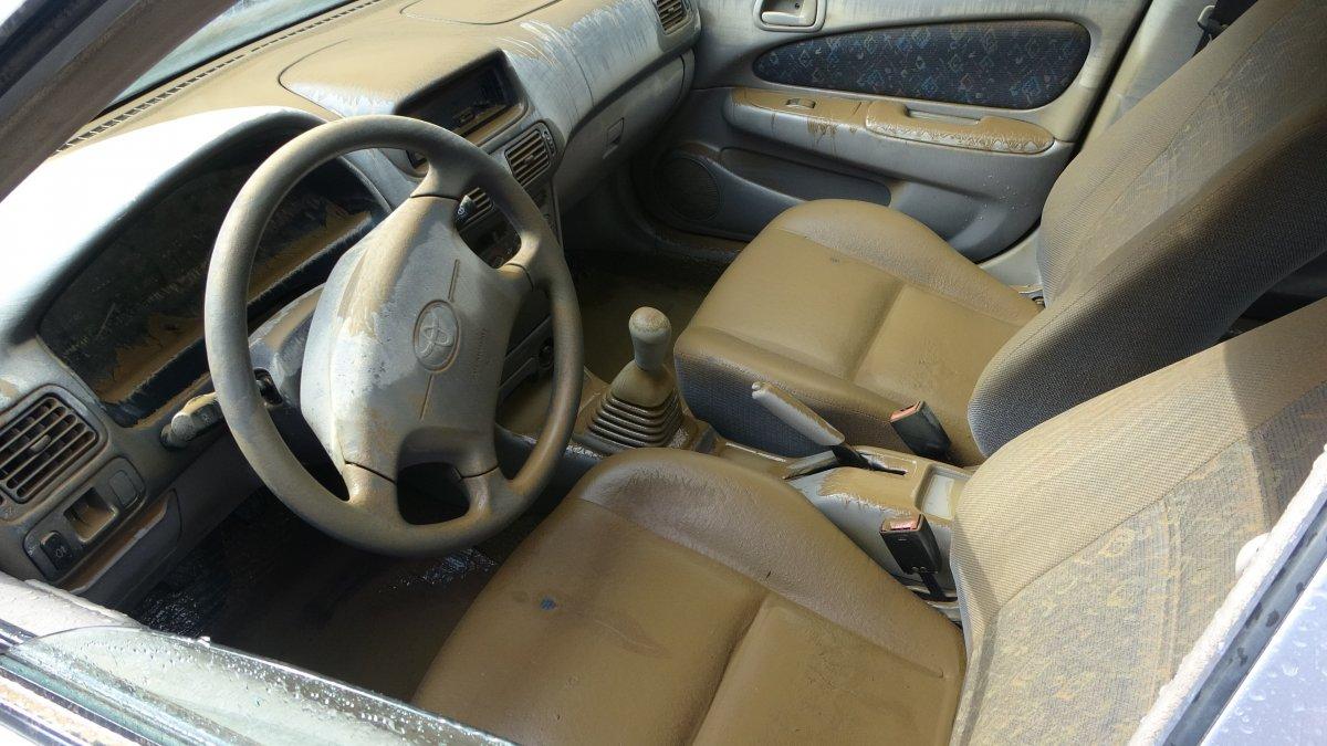 Artvin Arhavi'de sular çekilmeye başlayınca bilançonun büyüklüğü ortaya çıktı