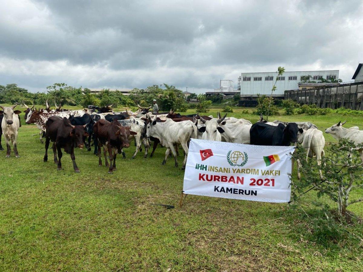İHH’nın Kamerun’da Kurban Bayramı çalışmaları