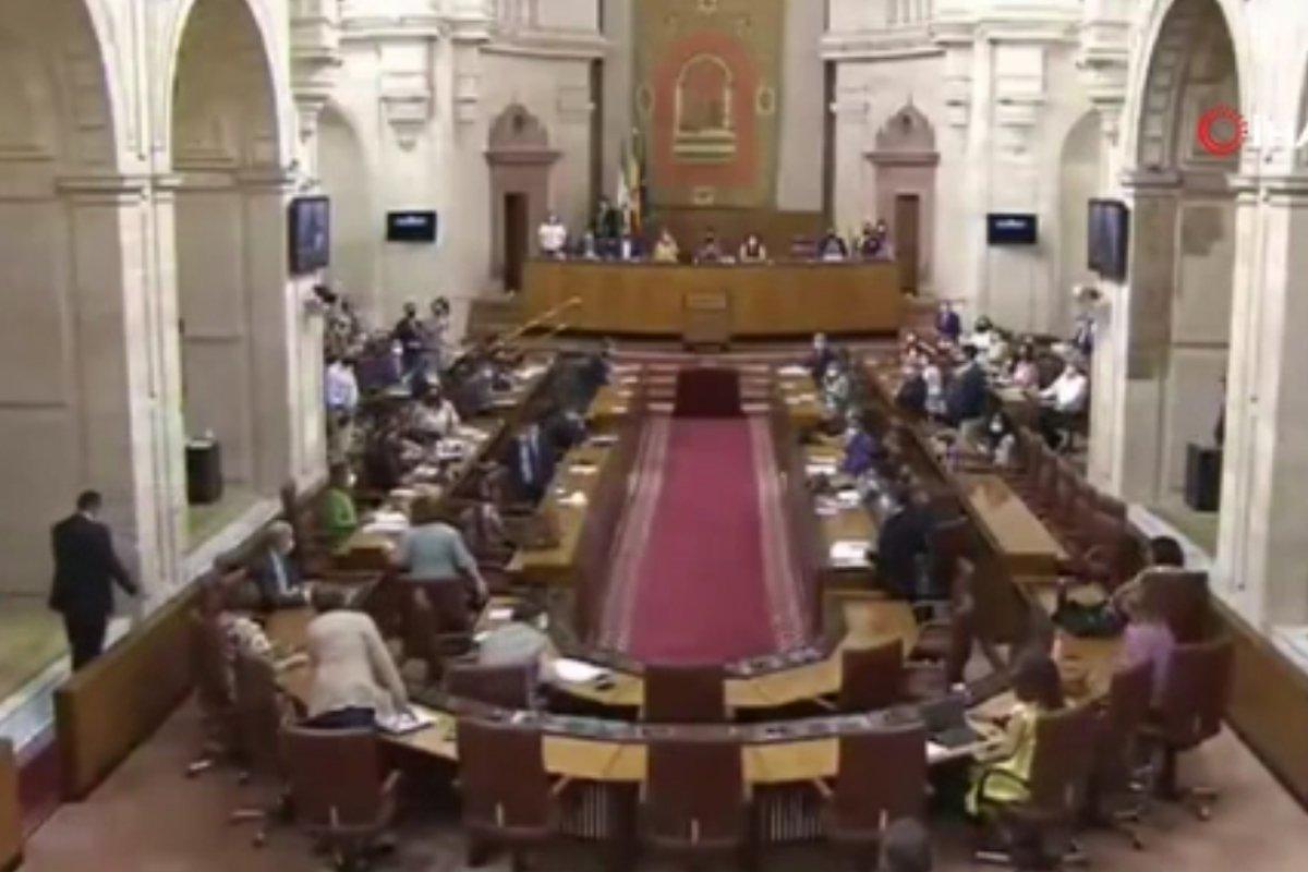 Endülüs Parlamentosu'na fare girdi, toplantı yarıda kesildi