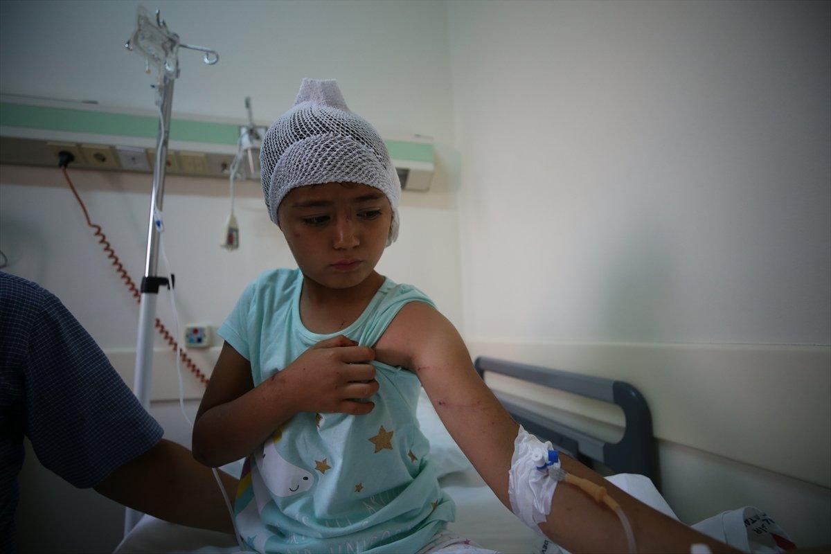 Balıkesir'de 8 yaşındaki kız, pitbull saldırısına uğradı