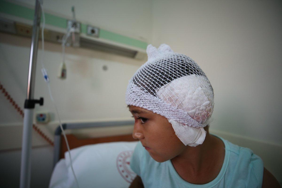 Balıkesir'de 8 yaşındaki kız, pitbull saldırısına uğradı