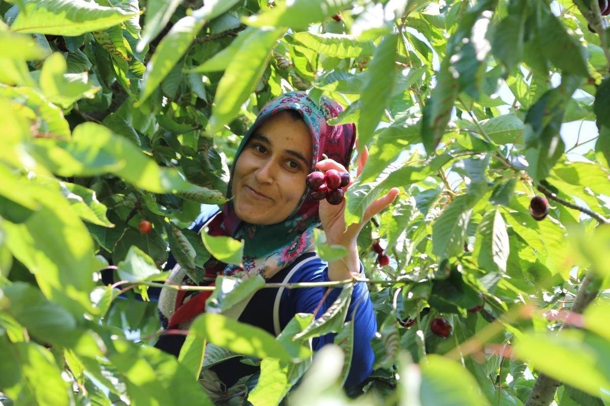 Aşırısı hem ruha hem edene zarar