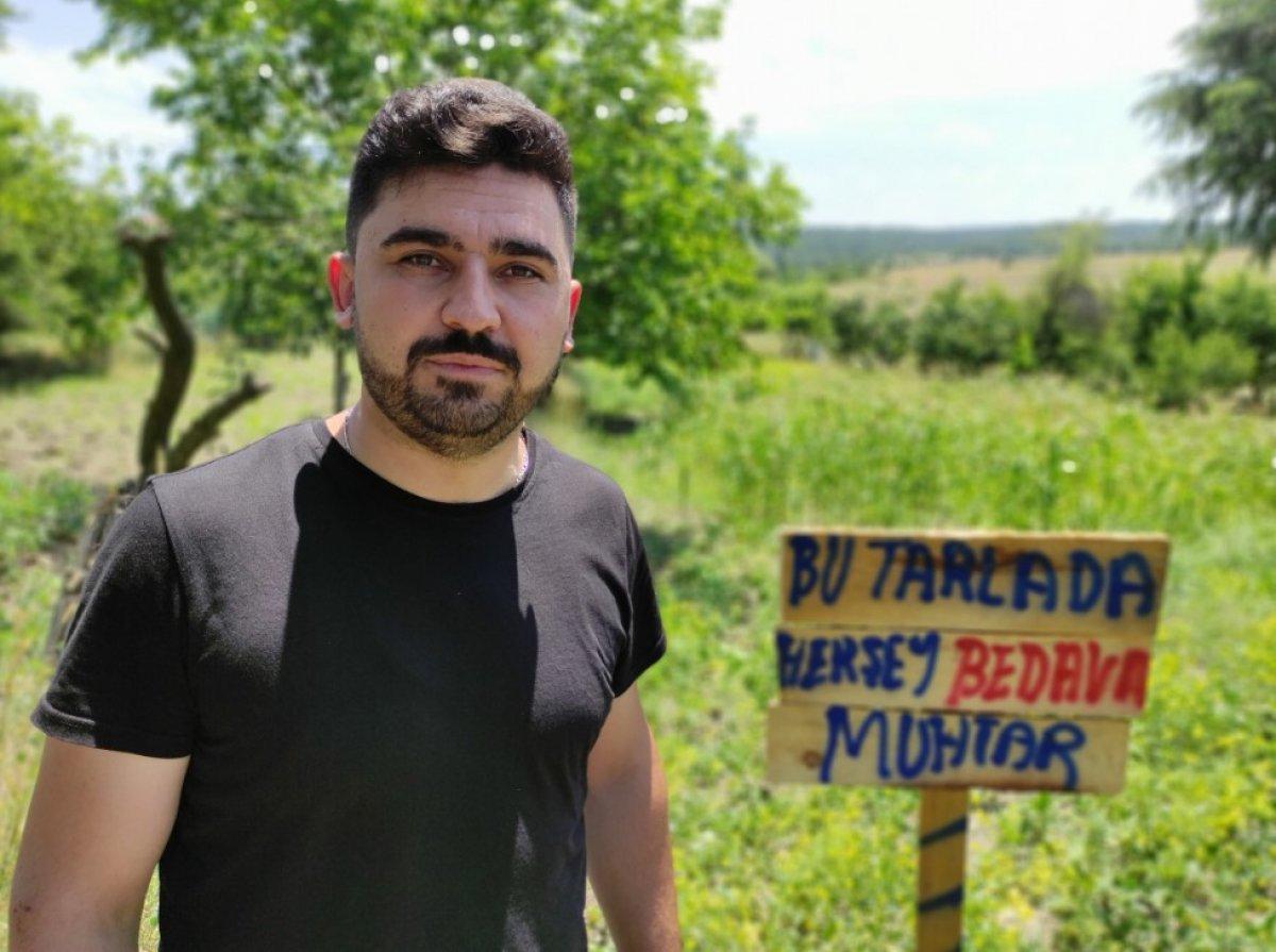 Bursa'da meyve ve sebzelerin bedava dağıtıldığı tarla