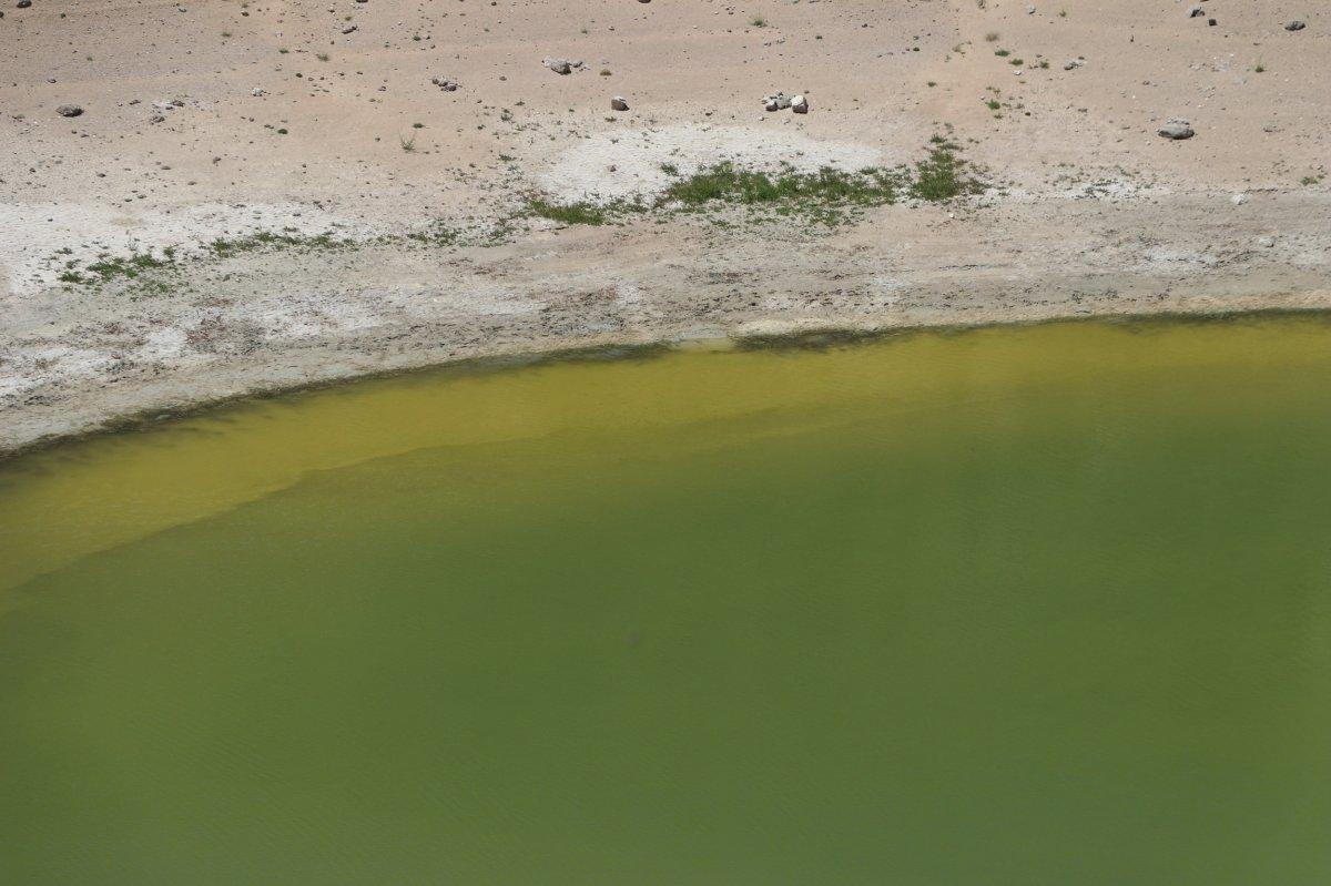 Sivas’ta Kızılçan Gölü’nün suyu çekildi, rengi değişti