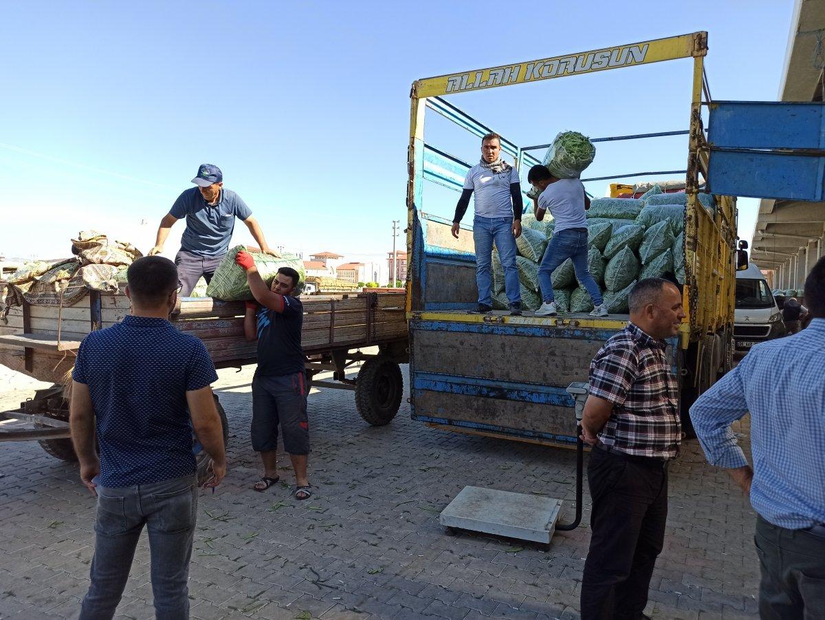 Fasulye üreticisi fiyatların düşmesine üzgün