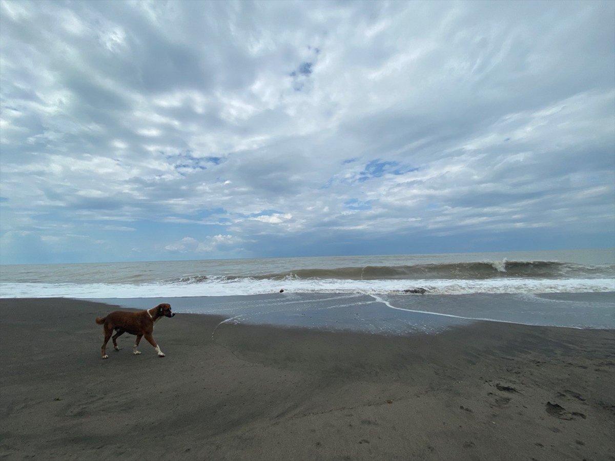 Bartın ve Düzce'de denize girişlere izin verilmiyor